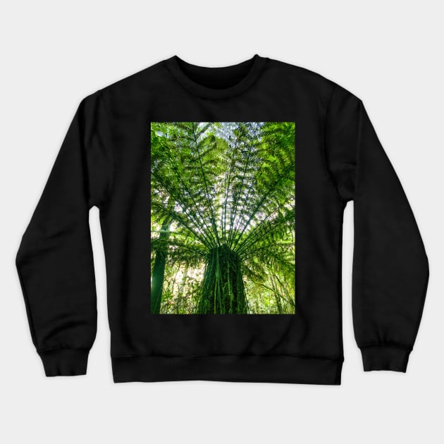 Tree Fern Crewneck Sweatshirt by Upbeat Traveler